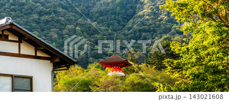 国宝・世界遺産 嚴島神社の朝風景　パノラマ【広島県廿日市市】 143021608