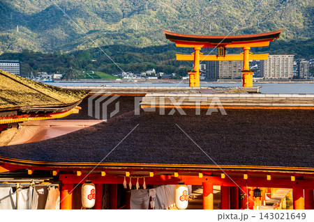 国宝・世界遺産 嚴島神社の朝風景【広島県廿日市市】 国宝・世界遺産 嚴島神社の朝風景【広島県廿日市市】 143021649