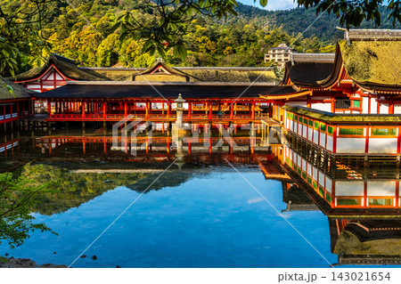 国宝・世界遺産 嚴島神社の朝風景【広島県廿日市市】 143021654