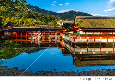 国宝・世界遺産 嚴島神社の朝風景【広島県廿日市市】 国宝・世界遺産 嚴島神社の朝風景【広島県廿日市市】 143021658