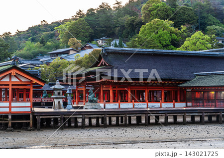 国宝・世界遺産 嚴島神社の朝風景【広島県廿日市市】 国宝・世界遺産 嚴島神社の朝風景【広島県廿日市市】 143021725