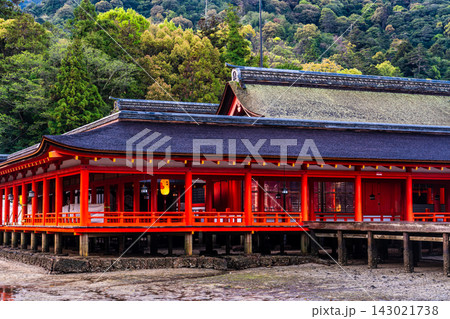 国宝・世界遺産 嚴島神社の朝風景【広島県廿日市市】 国宝・世界遺産 嚴島神社の朝風景【広島県廿日市市】 143021738
