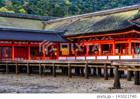 国宝・世界遺産 嚴島神社の朝風景【広島県廿日市市】 国宝・世界遺産 嚴島神社の朝風景【広島県廿日市市】 143021740