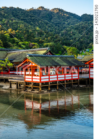 国宝・世界遺産 嚴島神社の朝風景【広島県廿日市市】 国宝・世界遺産 嚴島神社の朝風景【広島県廿日市市】 143021760