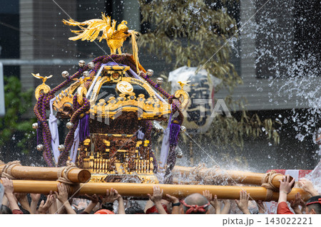富岡八幡宮例大祭差し上げた神輿 富岡八幡宮例大祭差し上げた神輿 143022221