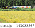 水郡線「秋の田園風景を走るカラフルな列車」 143022867