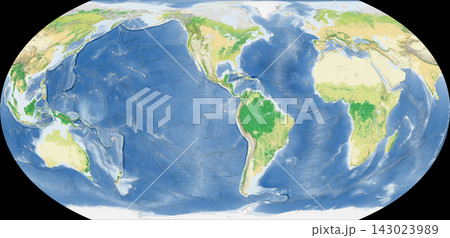 世界植生地図 イコールアース図法 世界植生地図 イコールアース図法 143023989
