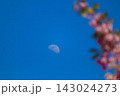 青空に浮かぶ月と桜の花びら 143024273