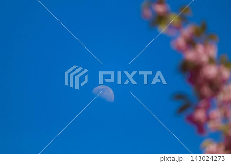 青空に浮かぶ月と桜の花びら 143024273