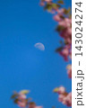 青空に浮かぶ月と桜の花びら 143024274