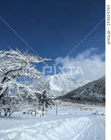 雪山に続く道 143024765