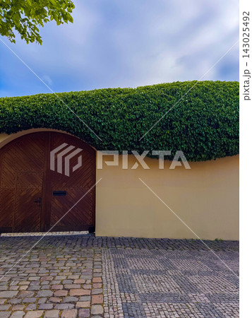 a fence with a wooden arch and gate, complemented by neatly trimmed hedge on top 143025492