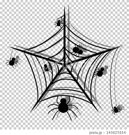 Spider Web With Spider And Insects 143025914