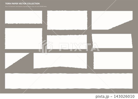 Realistic torn paper vector elements and ragged edge pieces collection 143026010
