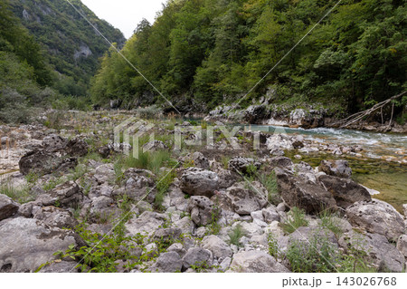 A rocky riverbed and clear mountain stream wind through a lush green forested gorge A rocky riverbed and clear mountain stream wind through a lush green forested gorge 143026768