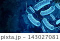 Vibrio vulnificus background 143027081