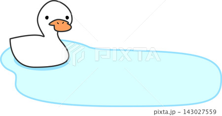 水面に浮かんでいるアヒル フレーム 143027559
