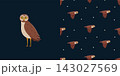 Set of cute cartoon owl and seamless pattern. Vector background illustration of cartoon forest night birds. 143027569