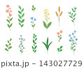 Beautiful set of garden and field flowers and plants. Vector illustration hand drawn in a flat style. 143027729