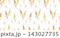 Vector seamless pattern with agricultural wheat and grain ears. Background bread or beer packaging, farming, organic food concepts. 143027735