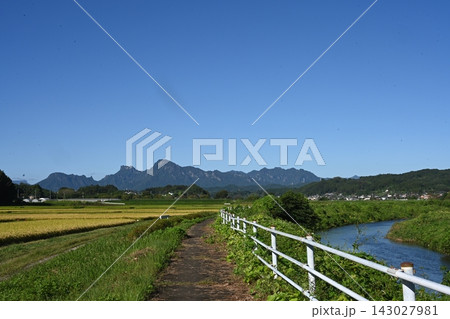 川縁の道から見た田んぼの稲と妙義山 143027981