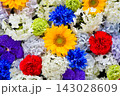 一面の花 143028609
