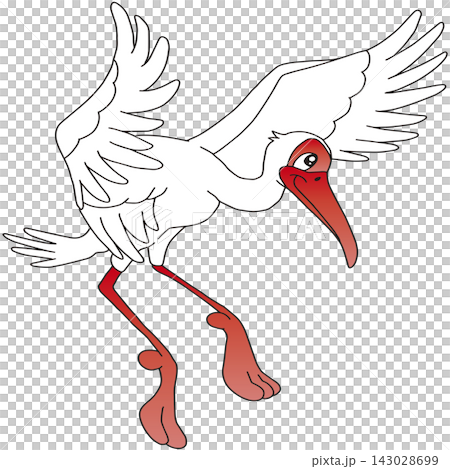 手書き鳥イラスト☆トキ 手書き鳥イラスト☆トキ 143028699