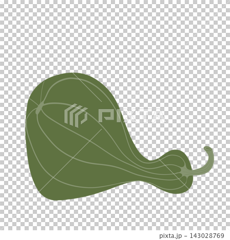 Butternut squash isolated on transparent background Butternut squash isolated on transparent background 143028769