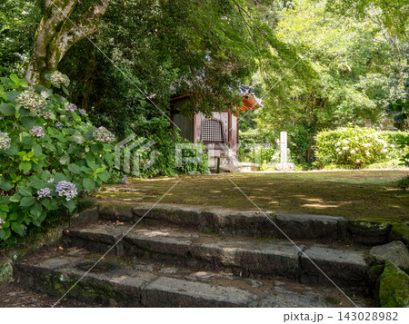 【奈良県】大和郡山市 矢田寺 (撮影日 2025/07/18) 143028982