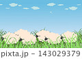 草原にかわいい羊たちが群れているイラスト 143029379