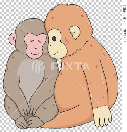 Two cute monkeys sitting together, adorable wildlife friendship illustration Two cute monkeys sitting together, adorable wildlife friendship illustration 143029903