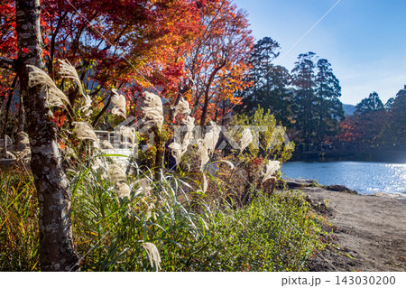 湯布院　金鱗湖の紅葉 143030200