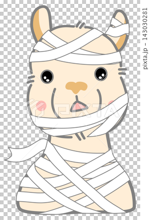Cute Halloween Mummy Alpaca Cartoon Illustration Cute Halloween Mummy Alpaca Cartoon Illustration 143030281
