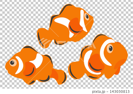 A set of cute clownfish variations illustrations A set of cute clownfish variations illustrations 143030813