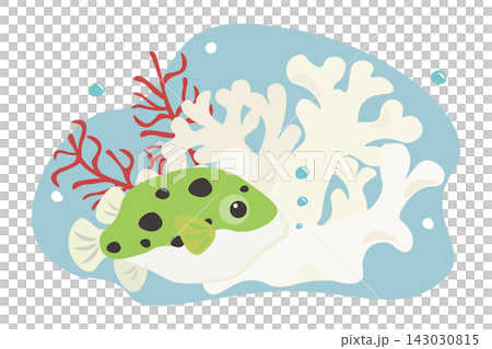 白い珊瑚とベニサンゴの前で泳ぐミドリフグのイラスト 143030815