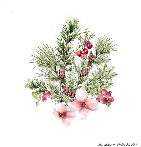 Pine branches, cones, red berries and pink blossoms hand painted. Elegant winter botanical bouquet watercolor illustration isolated. Cranberry and coniferous for winter wedding design or Christmas. Pine branches, cones, red berries and pink blossoms hand painted. Elegant winter botanical bouquet watercolor illustration isolated. Cranberry and coniferous for winter wedding design or Christmas. 143031667