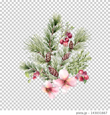 Pine branches, cones, red berries and pink blossoms hand painted. Elegant winter botanical bouquet watercolor illustration isolated. Cranberry and coniferous for winter wedding design or Christmas. Pine branches, cones, red berries and pink blossoms hand painted. Elegant winter botanical bouquet watercolor illustration isolated. Cranberry and coniferous for winter wedding design or Christmas. 143031667