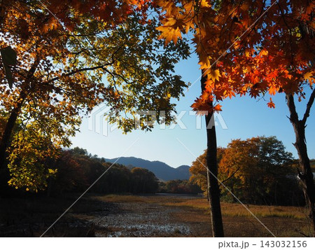 10月下旬の矢ノ原湿原（福島県昭和村） 143032156