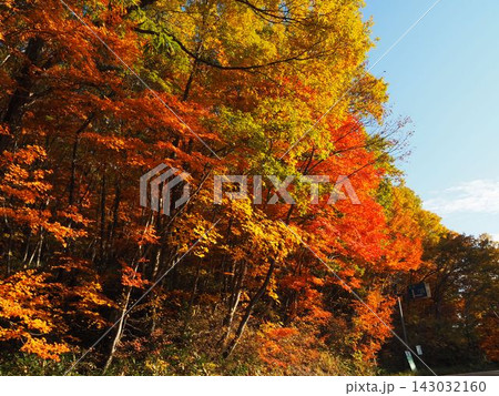 10月下旬の矢ノ原湿原（福島県昭和村） 143032160