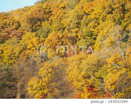 10月下旬の矢ノ原湿原（福島県昭和村） 143032204