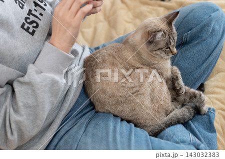 飼い主の膝の上で眠る猫 143032383