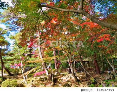 秋の仙台輪王寺(紅葉の禅庭園)【宮城県仙台市】 秋の仙台輪王寺(紅葉の禅庭園)【宮城県仙台市】 143032454