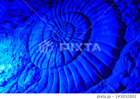 Ammonite Fossil Relief Wall Sculpture Illuminated in Blue Neon Light Ammonite Fossil Relief Wall Sculpture Illuminated in Blue Neon Light 143032802