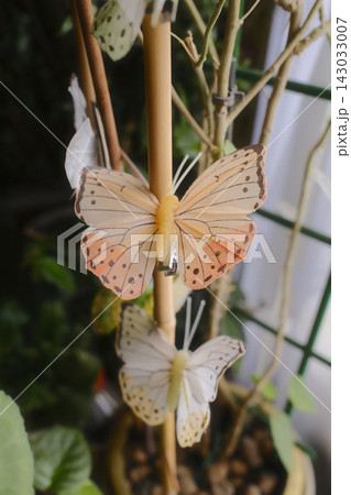 Decorative butterflies attached to a bamboo stake in a potted plant Decorative butterflies attached to a bamboo stake in a potted plant 143033007