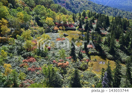 ロープウェイから見た旭岳の紅葉 ロープウェイから見た旭岳の紅葉 143033744