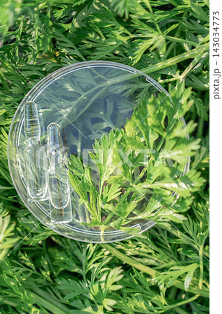 Research on natural ingredients for pharmaceutical research and herbal medicine development. Petri dish with ampoules on green plant leaves. Sustainable organic science concept Research on natural ingredients for pharmaceutical research and herbal medicine development. Petri dish with ampoules on green plant leaves. Sustainable organic science concept 143034773