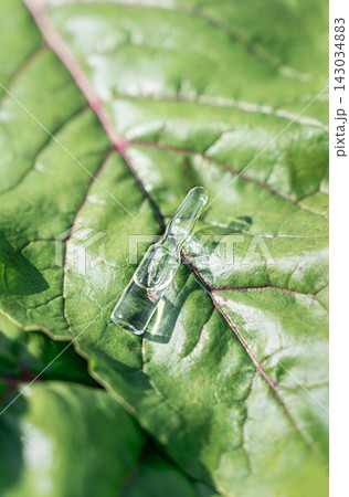 Glass ampoules with transparent cosmetic serum or meso cocktail on juicy green beet leaf. Organic cosmetics concept, anti-aging care, plant extracts, eco-beauty industry Glass ampoules with transparent cosmetic serum or meso cocktail on juicy green beet leaf. Organic cosmetics concept, anti-aging care, plant extracts, eco-beauty industry 143034883