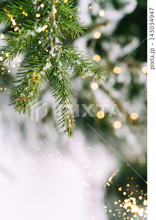 Snow-dusted evergreen branches with sparkling lights in winter wonderland scene. Festive composition, mockup for a New Year's card Snow-dusted evergreen branches with sparkling lights in winter wonderland scene. Festive composition, mockup for a New Year's card 143034947