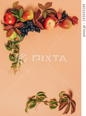 Autumn seasonal fruits apples pears grapes leaves pastel brown background. Thanksgiving harvest concept. Autumn vintage Autumn seasonal fruits apples pears grapes leaves pastel brown background. Thanksgiving harvest concept. Autumn vintage 143035289