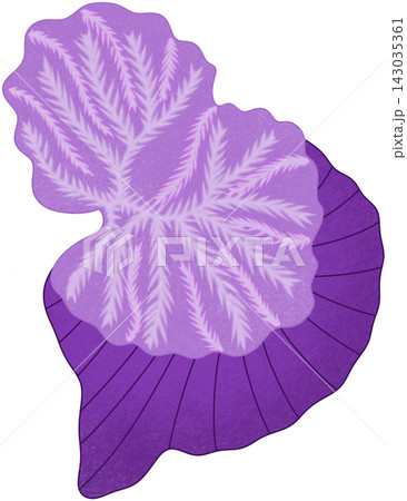 purple cerebellum anatomy purple cerebellum anatomy 143035361